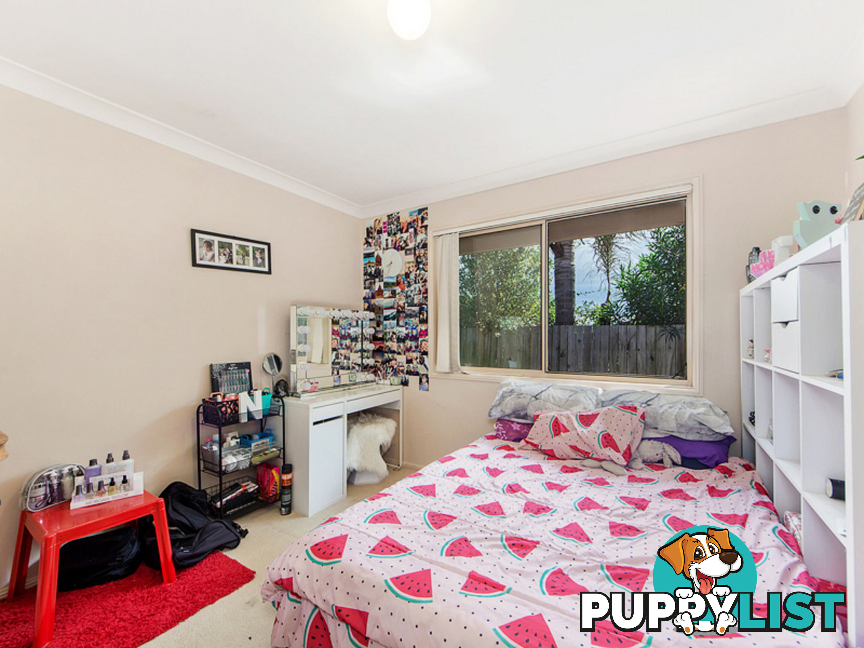 7 Karen Court Raceview QLD 4305