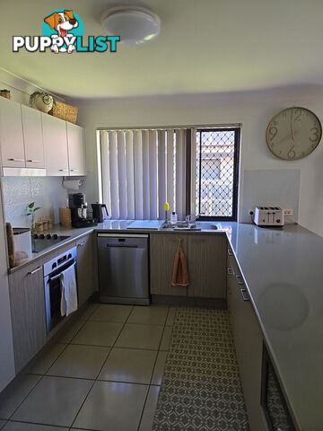 37 Piping Court RACEVIEW QLD 4305
