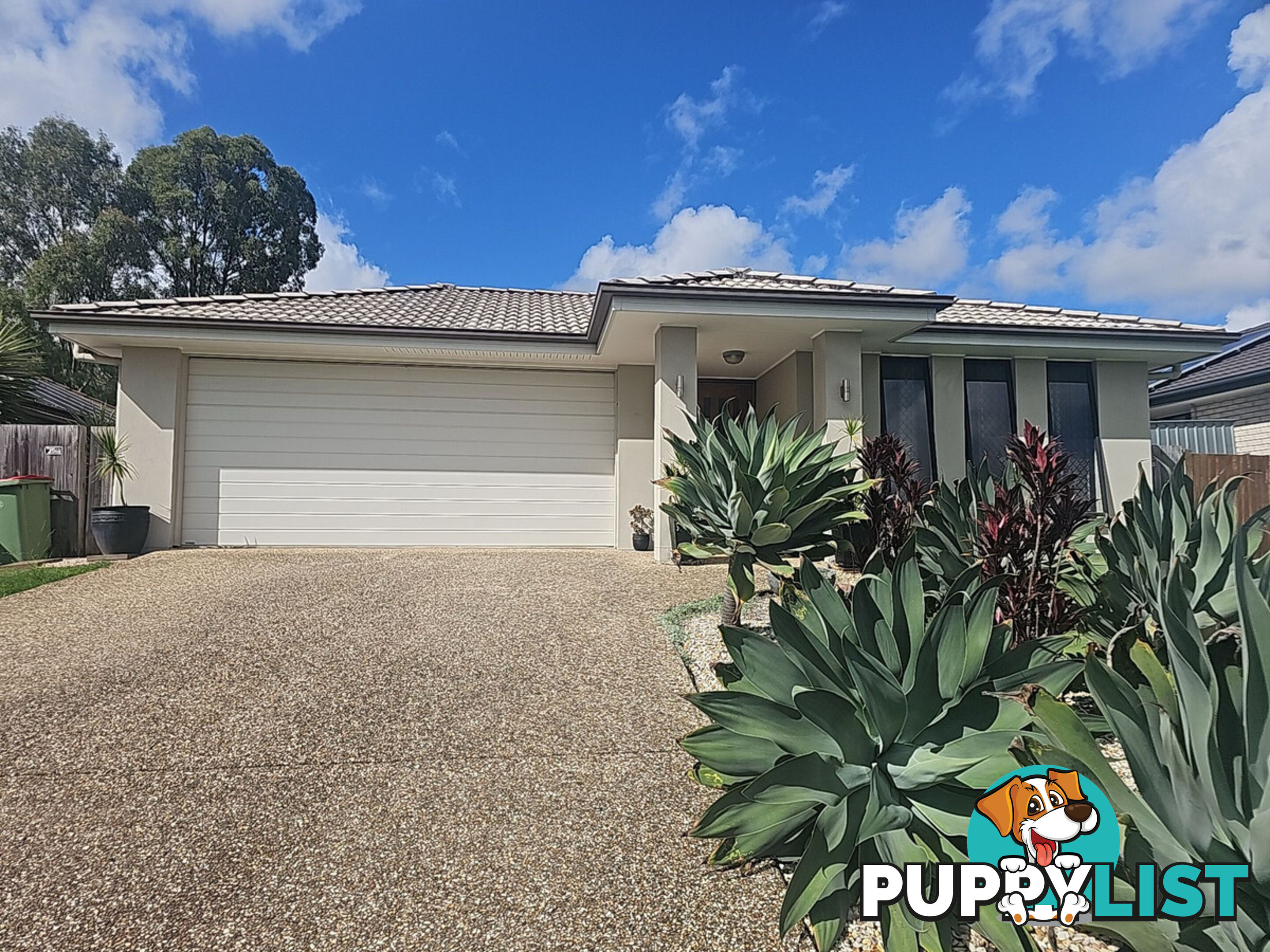 37 Piping Court RACEVIEW QLD 4305