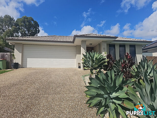 37 Piping Court RACEVIEW QLD 4305