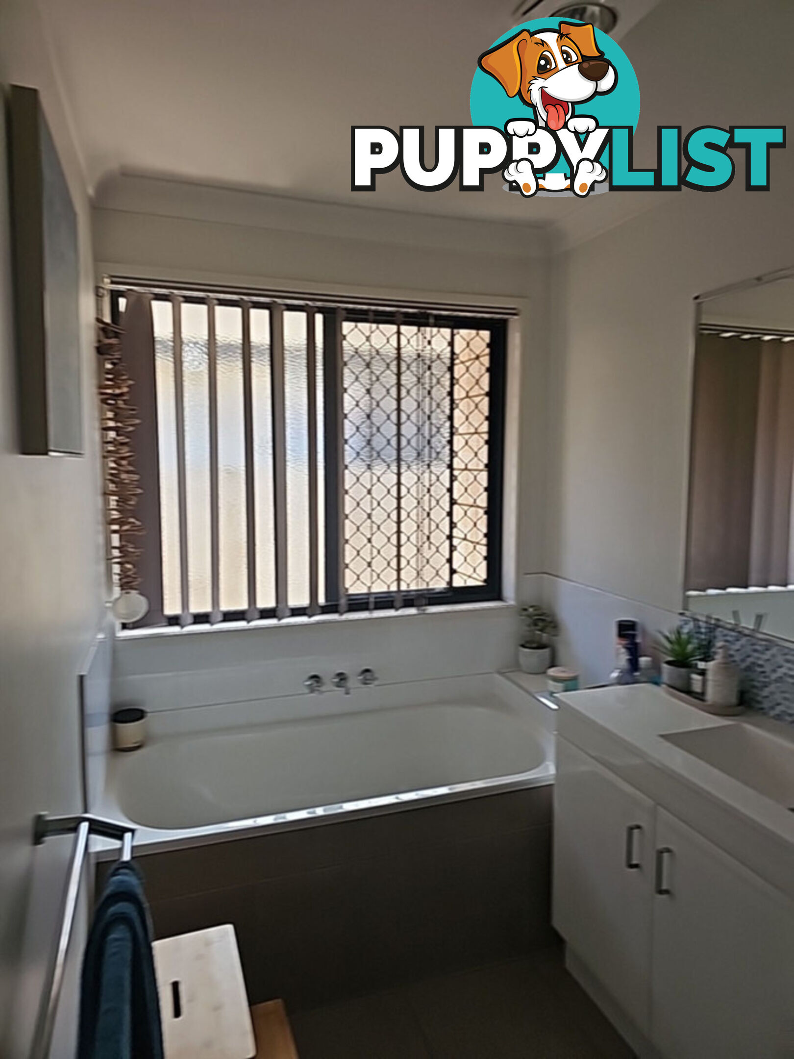 37 Piping Court RACEVIEW QLD 4305