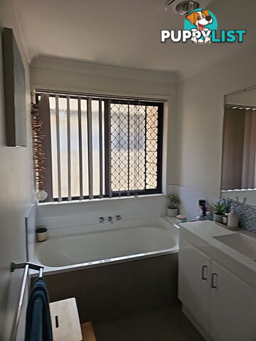 37 Piping Court RACEVIEW QLD 4305