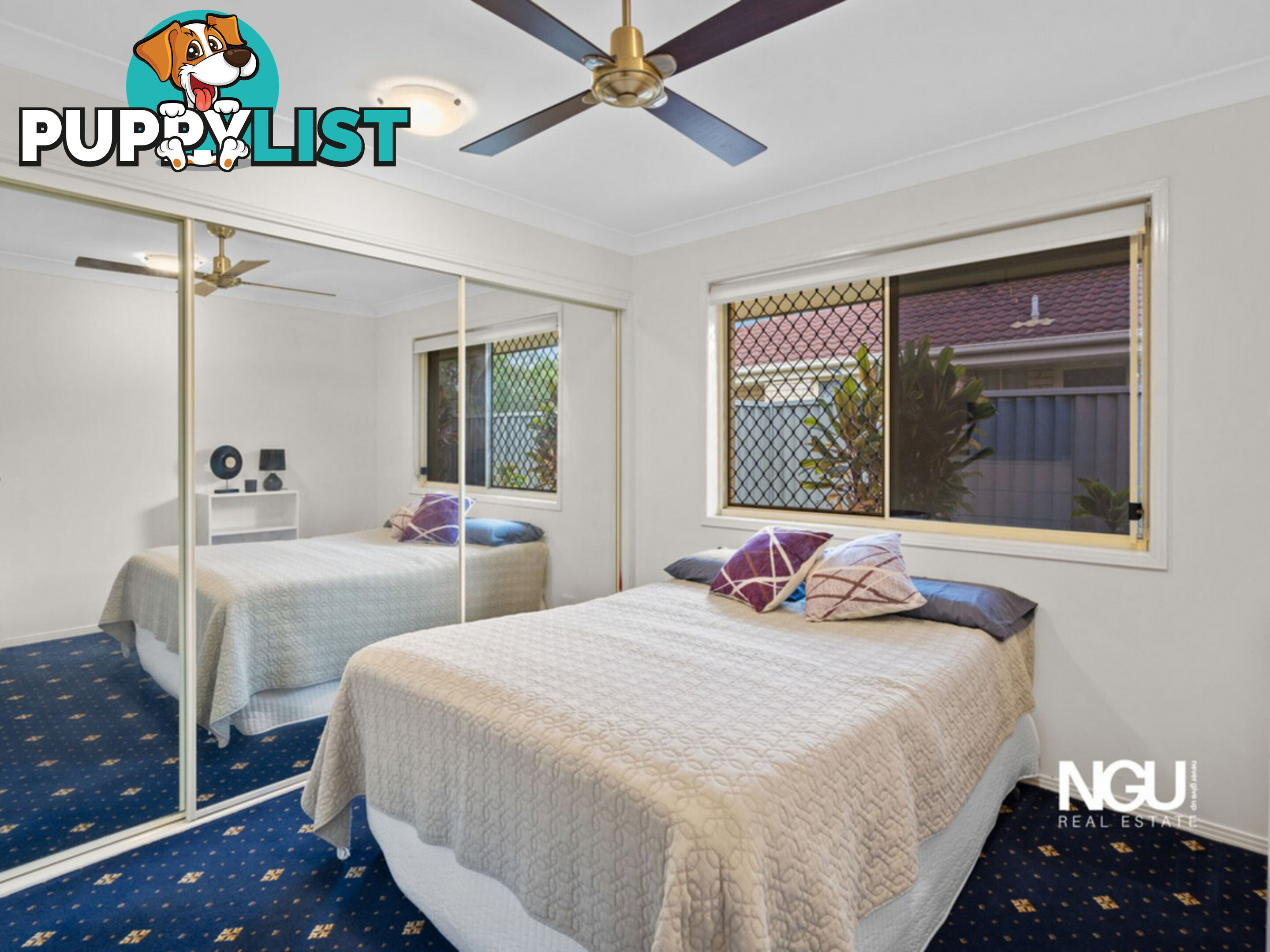 67 David Street North Booval QLD 4304