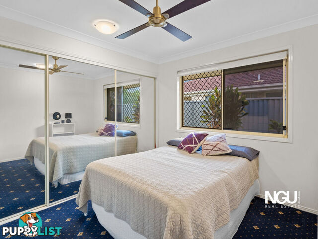 67 David Street North Booval QLD 4304