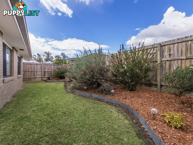31 Lillypilly Drive Ripley QLD 4306