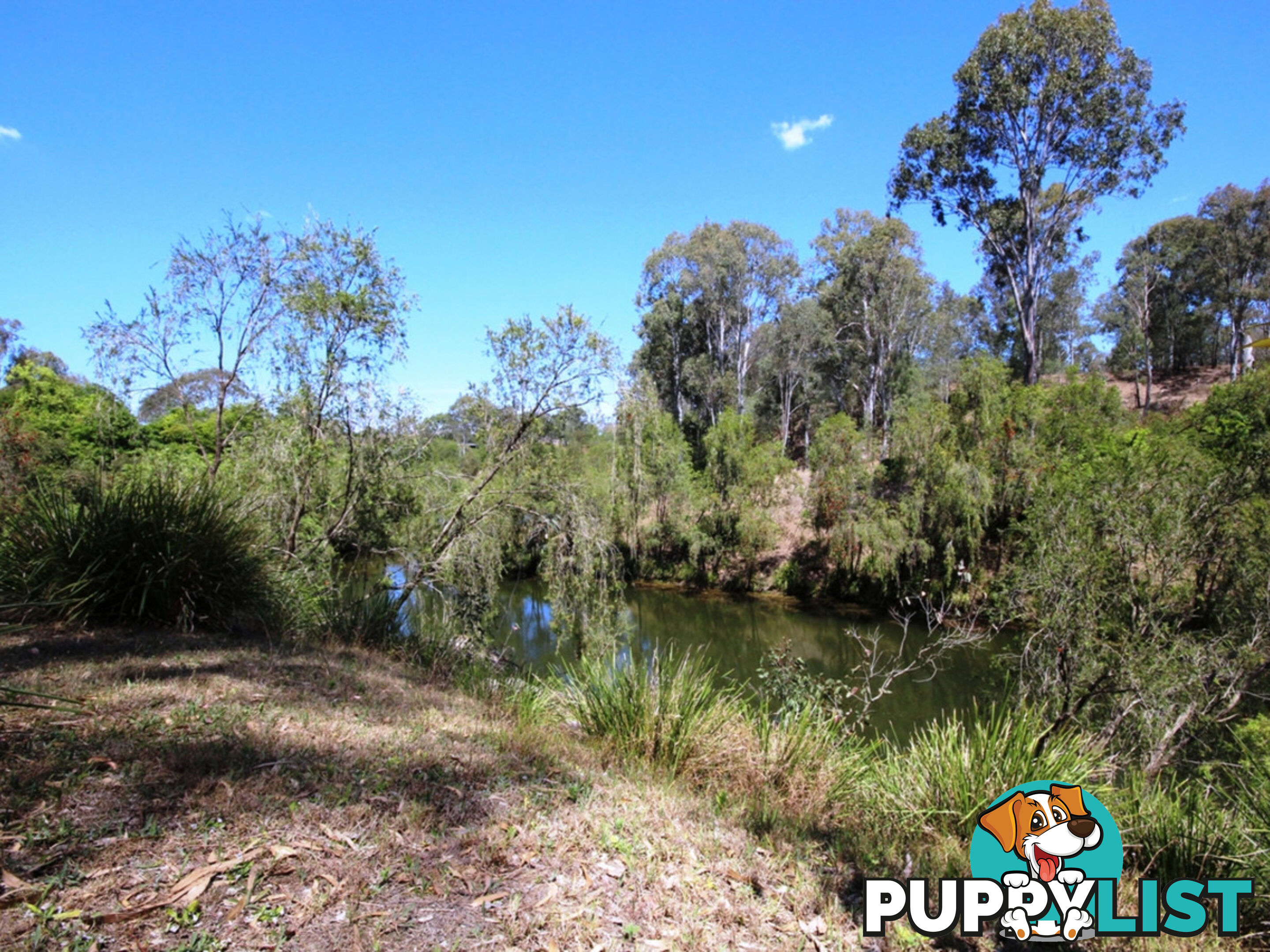 21 Tiger Street Sadliers Crossing QLD 4305