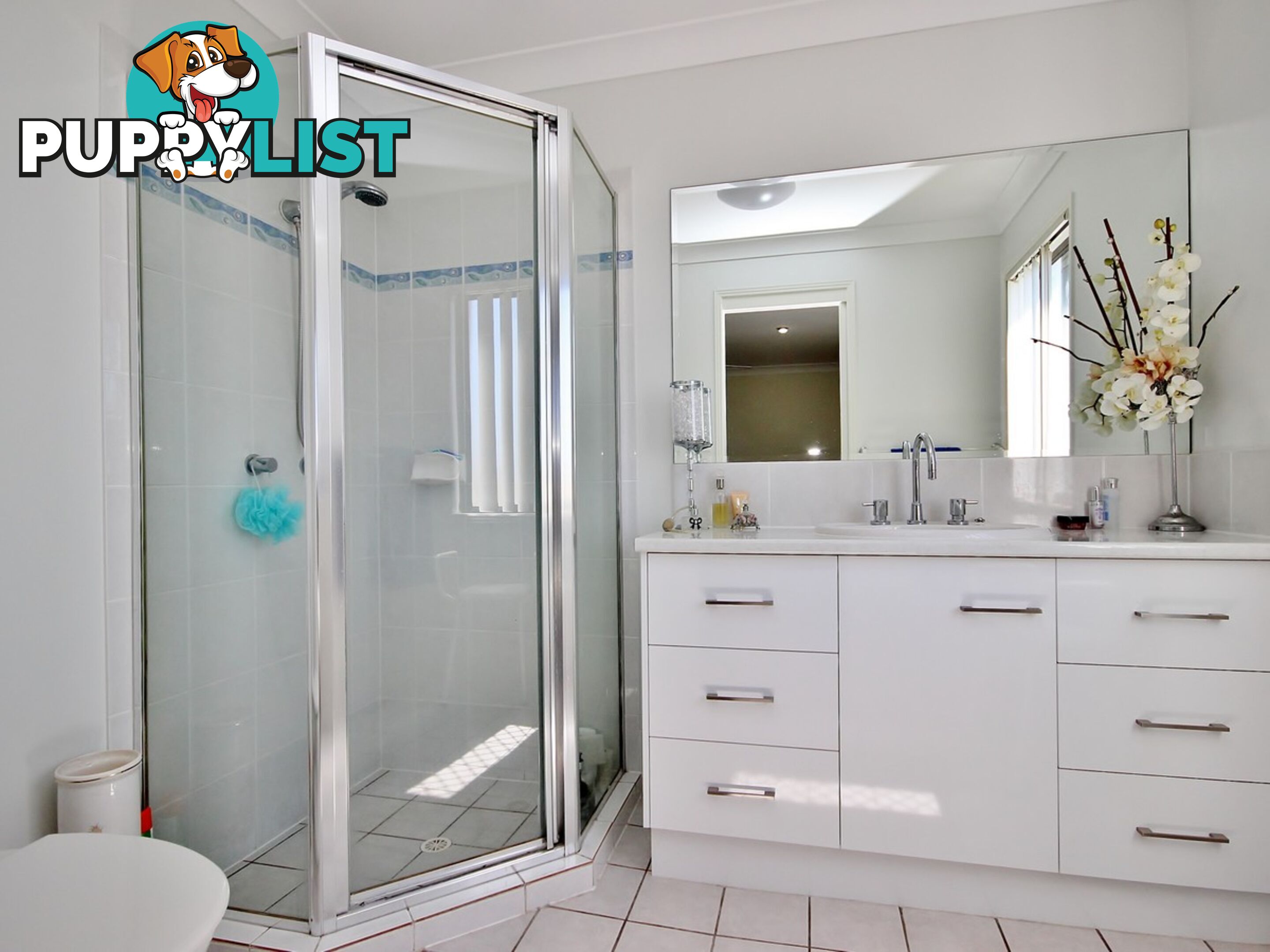 13 Amie Place RACEVIEW QLD 4305
