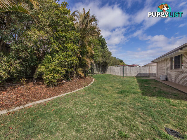 24 Anna Drive Raceview QLD 4305