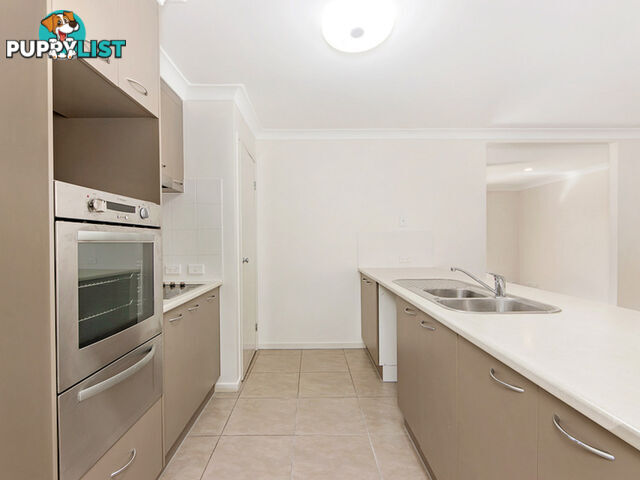 24 Anna Drive Raceview QLD 4305