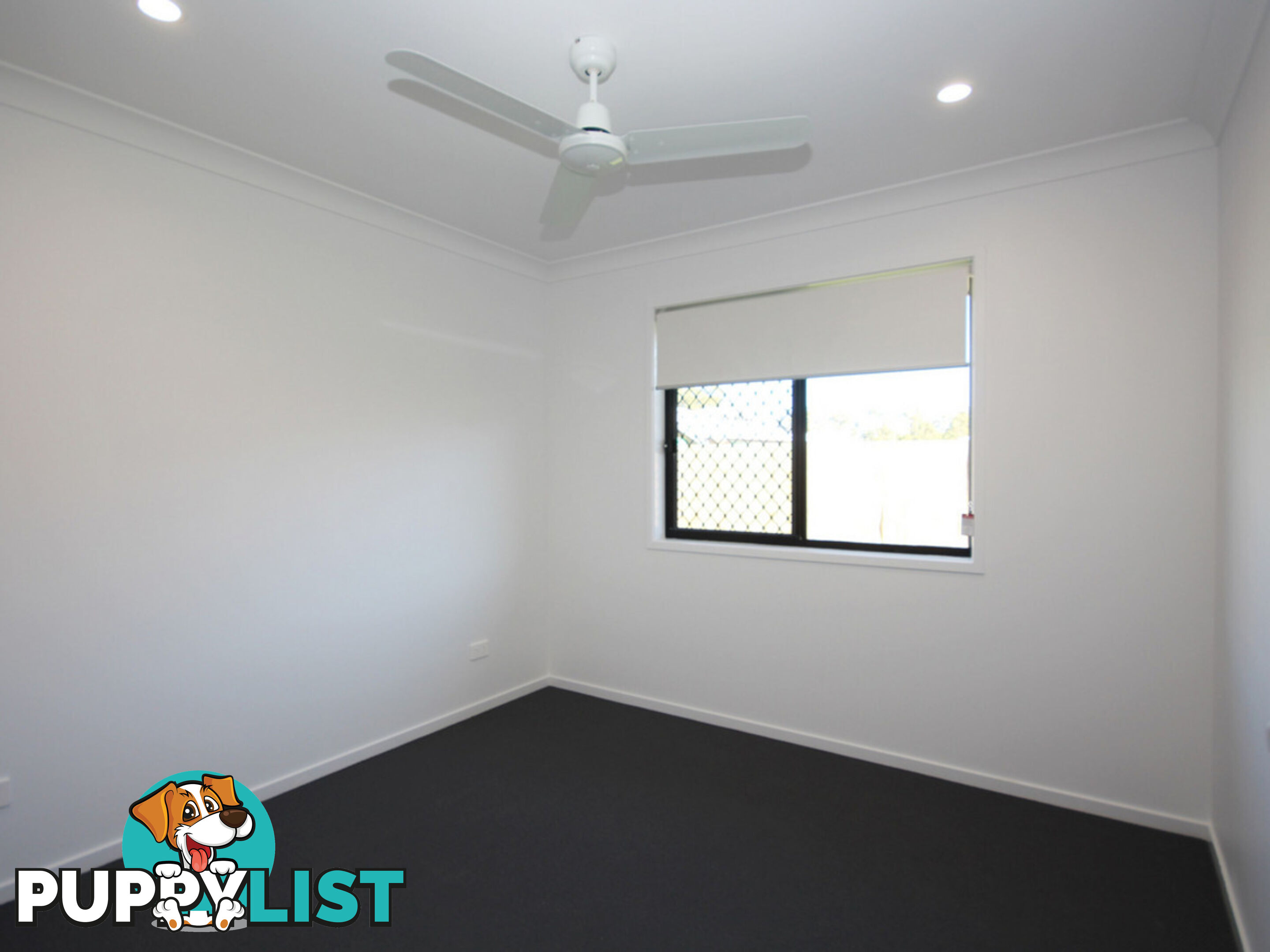 6 Azalea Circuit Deebing Heights QLD 4306