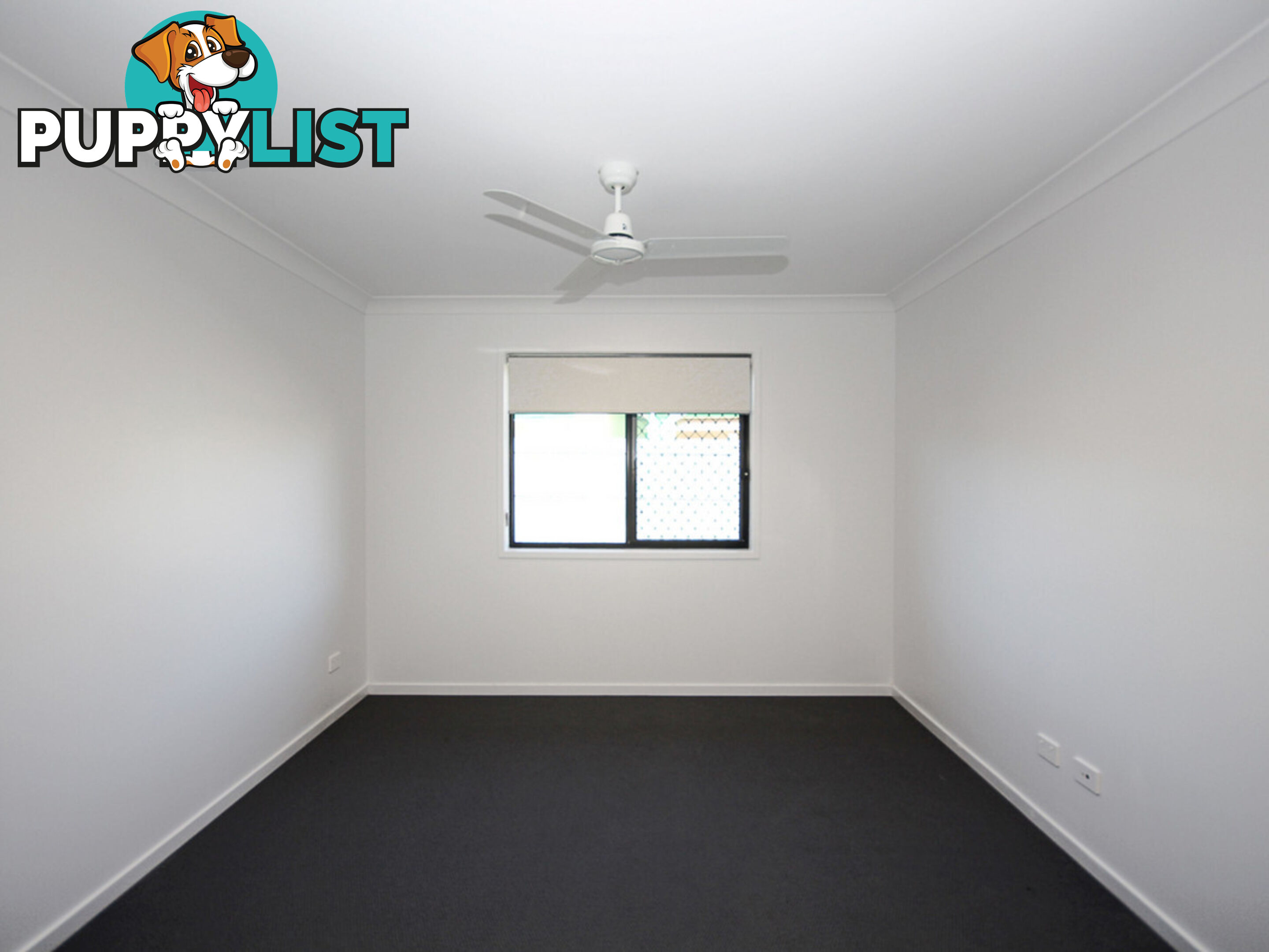 6 Azalea Circuit Deebing Heights QLD 4306