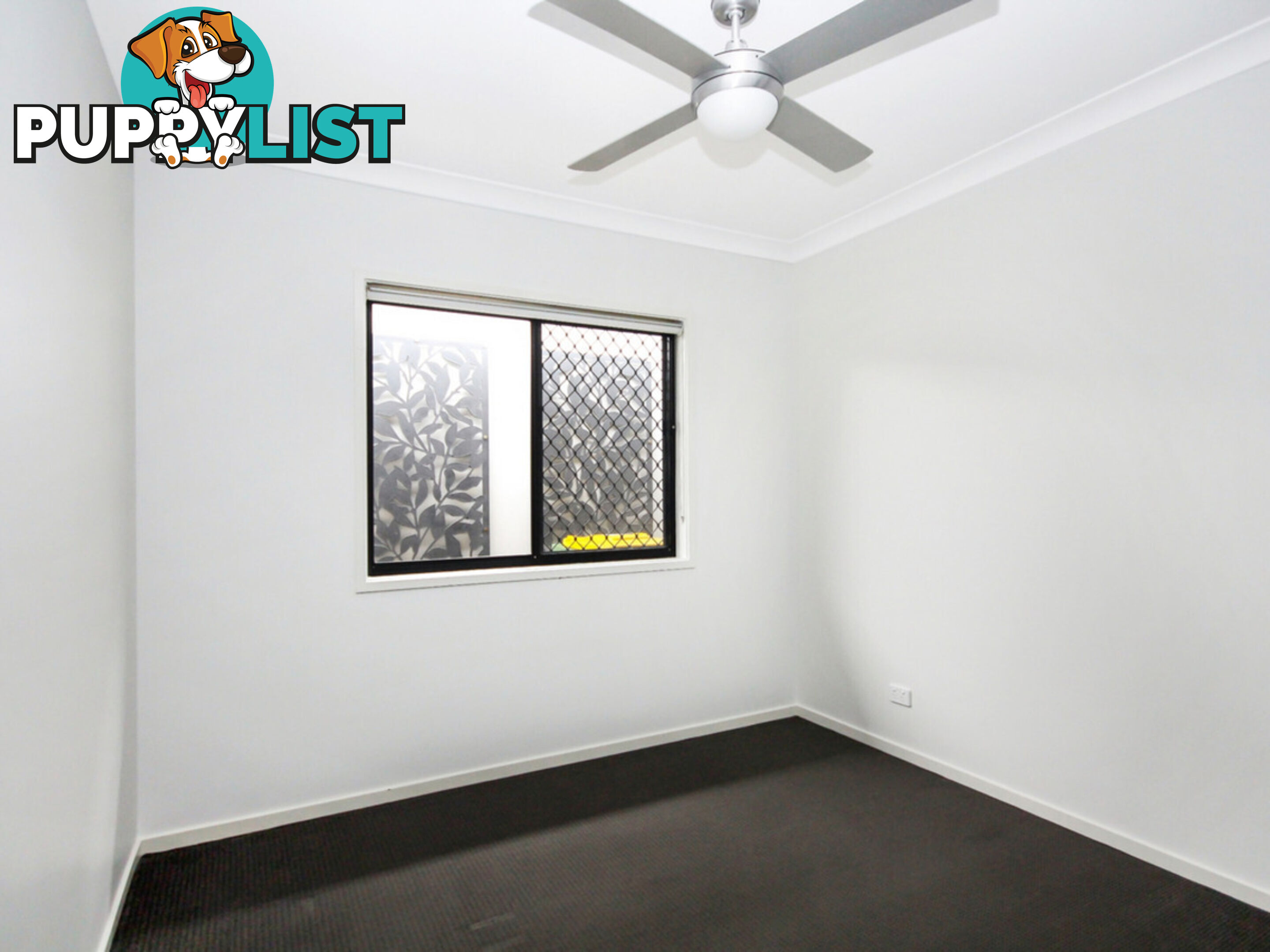 16 Bellthorpe Street South Ripley QLD 4306