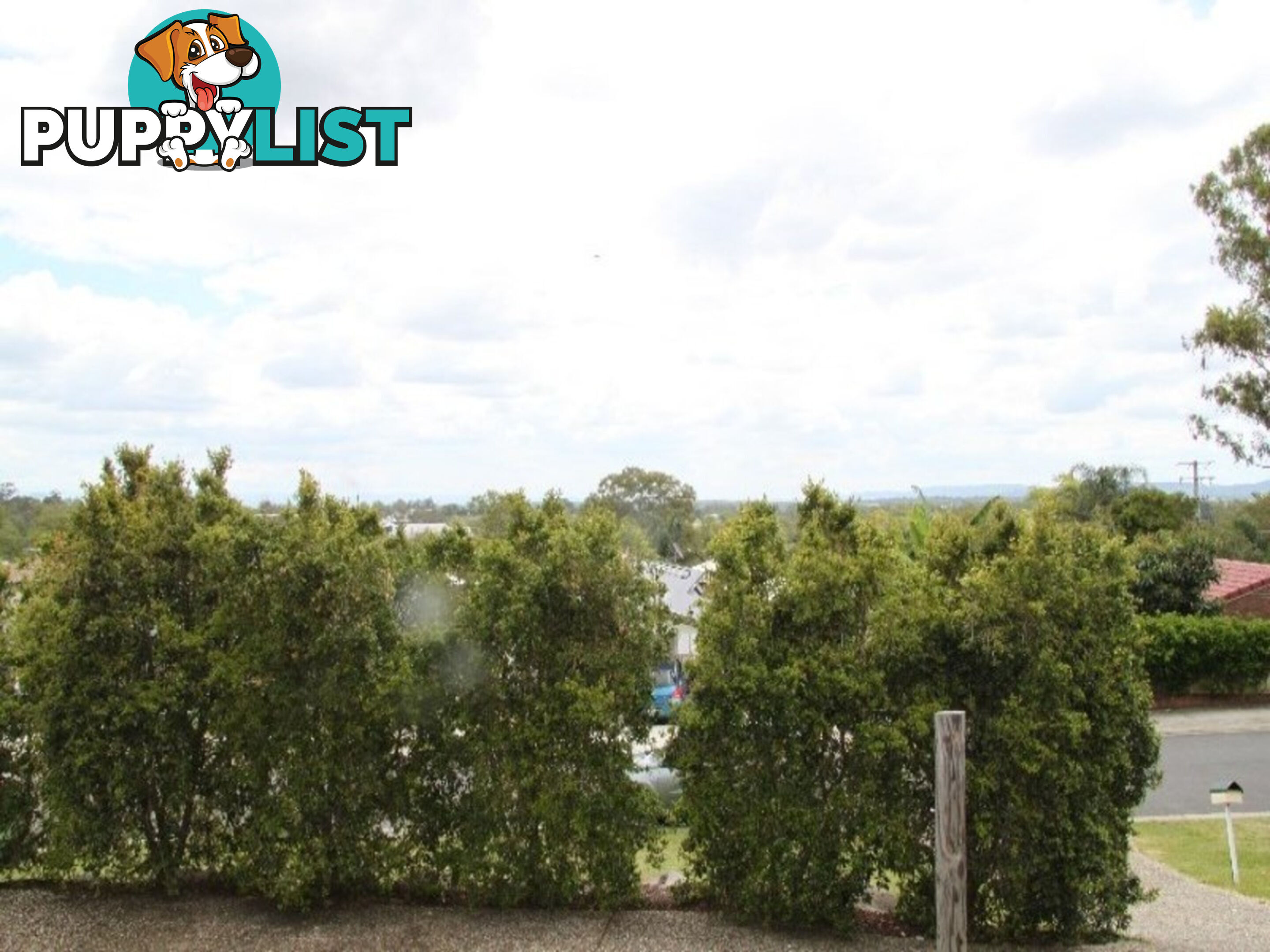 2 4 Lagoona Court CHURCHILL QLD 4305