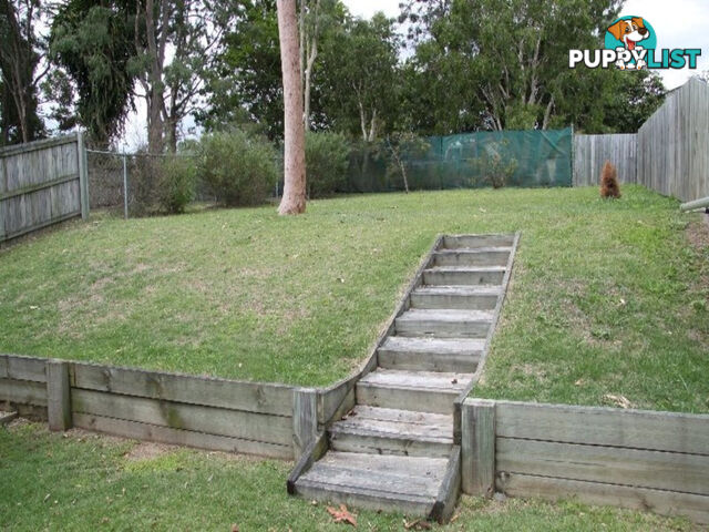 2 4 Lagoona Court CHURCHILL QLD 4305
