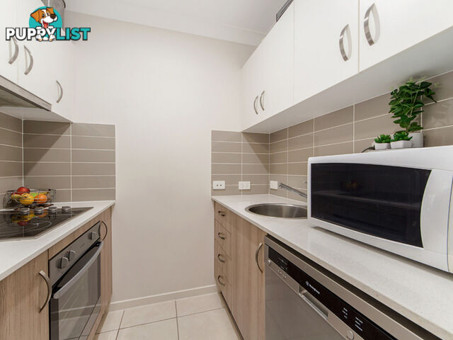 20 Moonie Crescent Brassall QLD 4305