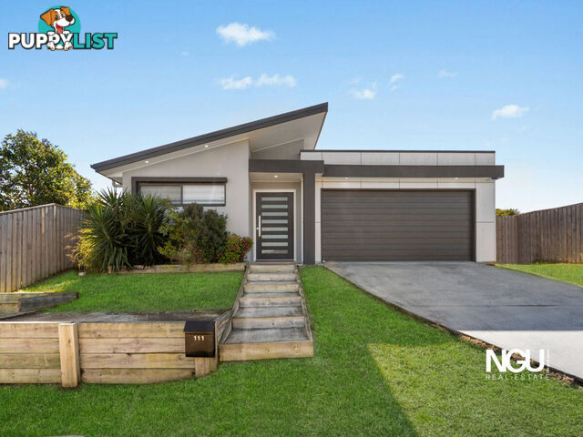 111 Alawoona Street Redbank Plains QLD 4301