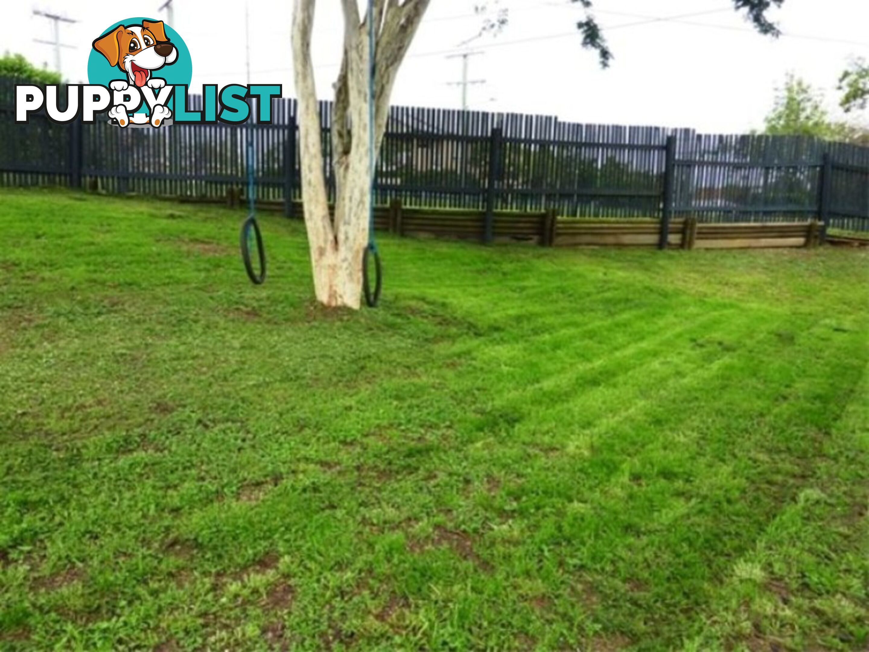 20 Clifton Street Booval QLD 4304