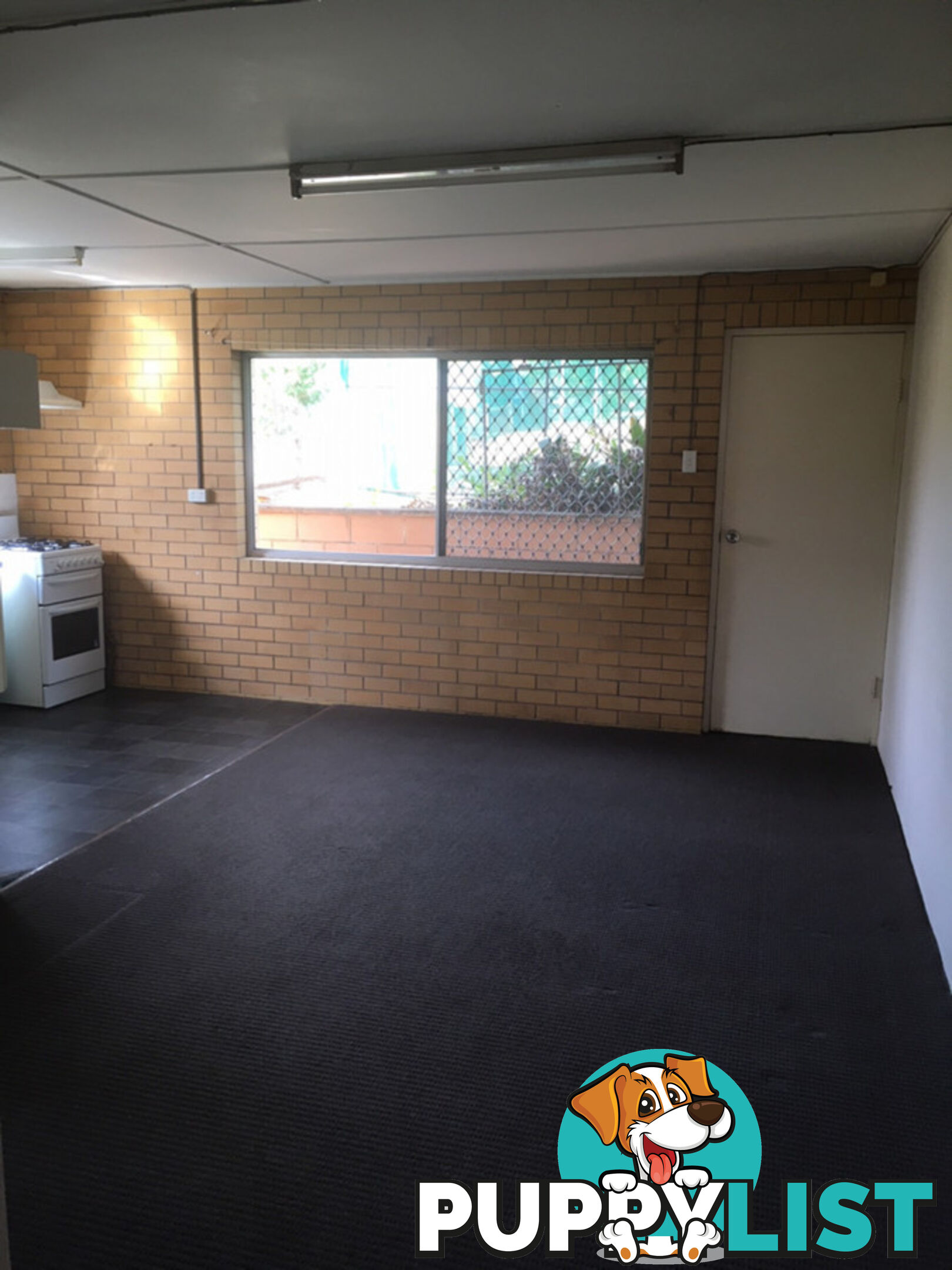3 14 Frederick Street Newtown QLD 4305