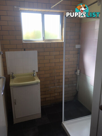 3 14 Frederick Street Newtown QLD 4305