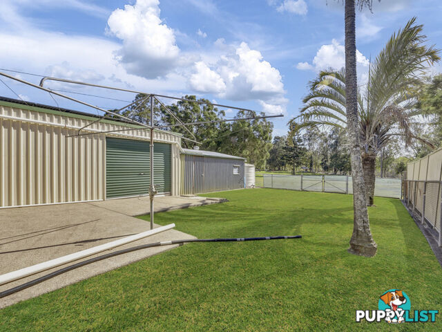16 Casey Street Leichhardt QLD 4305