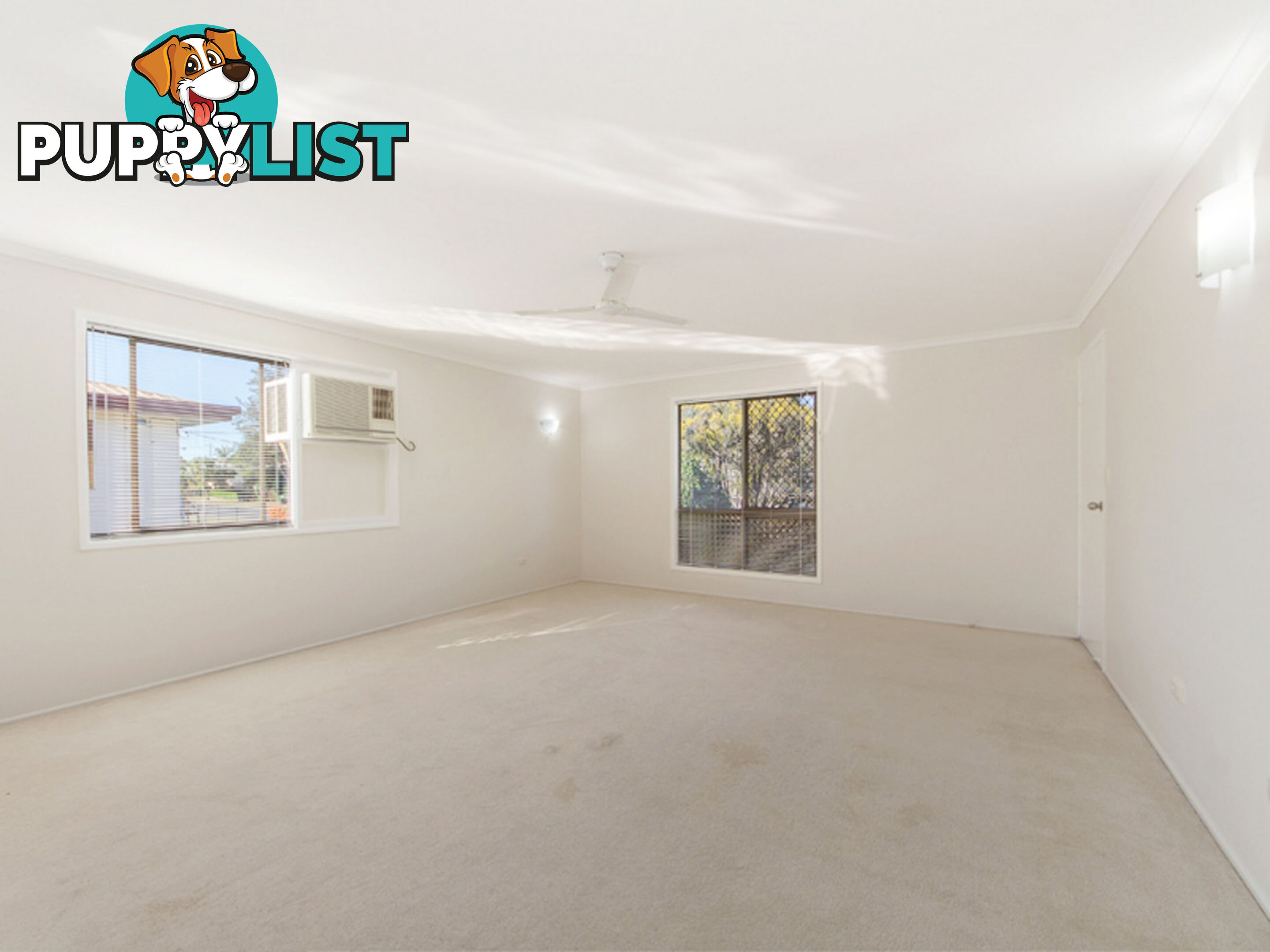 16 Nolan Street Raceview QLD 4305