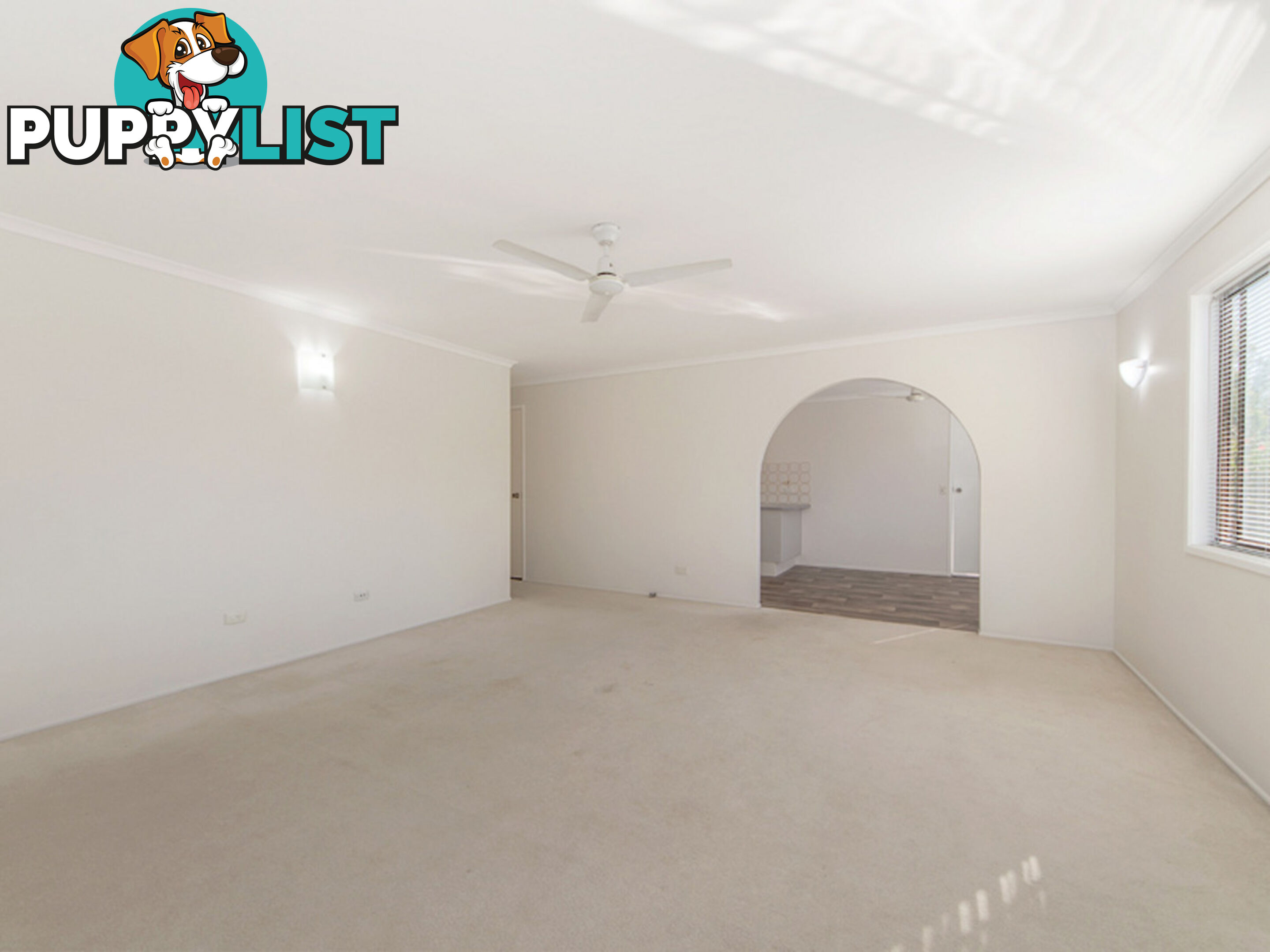16 Nolan Street Raceview QLD 4305