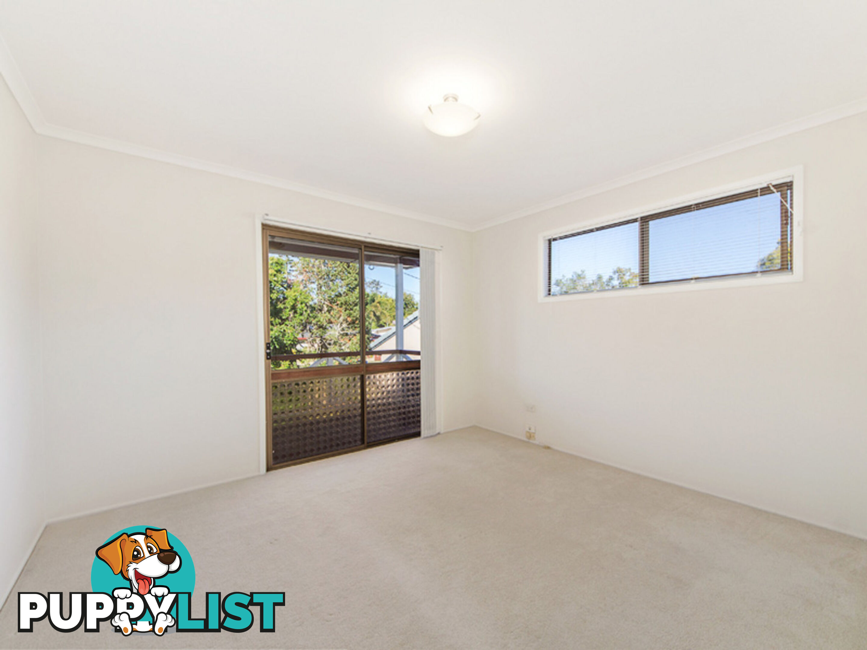 16 Nolan Street Raceview QLD 4305