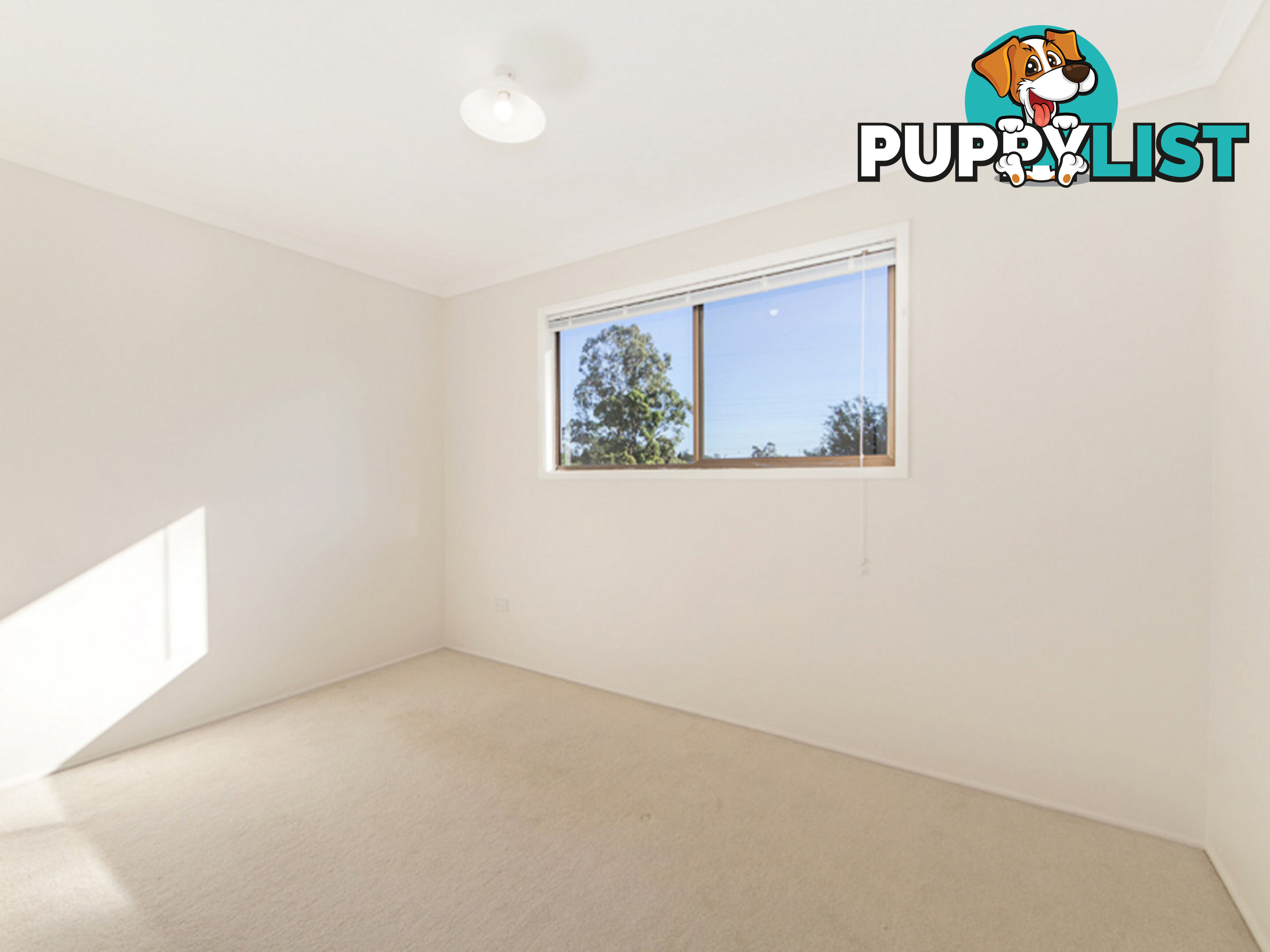 16 Nolan Street Raceview QLD 4305