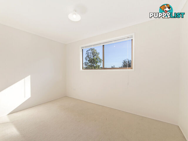 16 Nolan Street Raceview QLD 4305