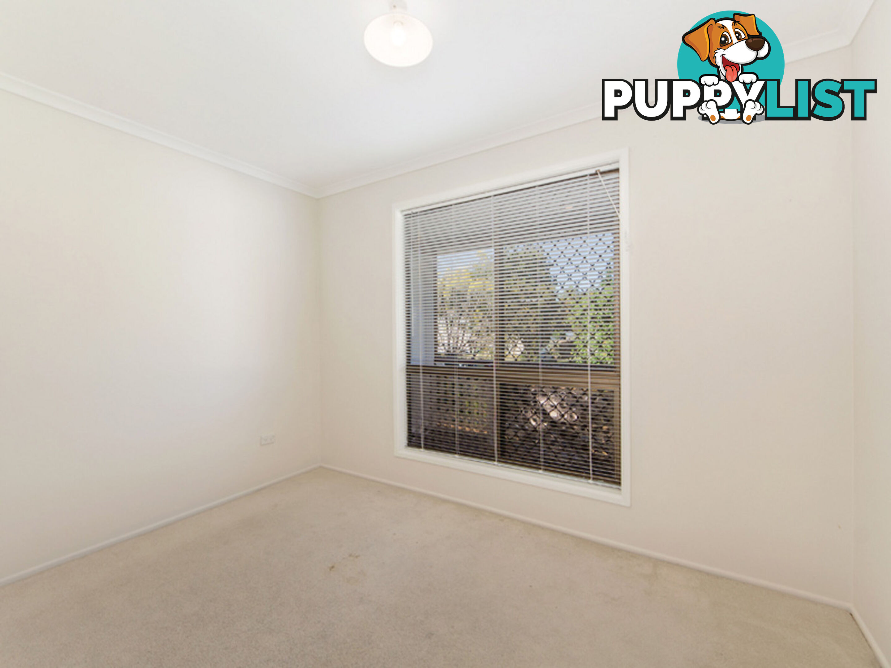 16 Nolan Street Raceview QLD 4305
