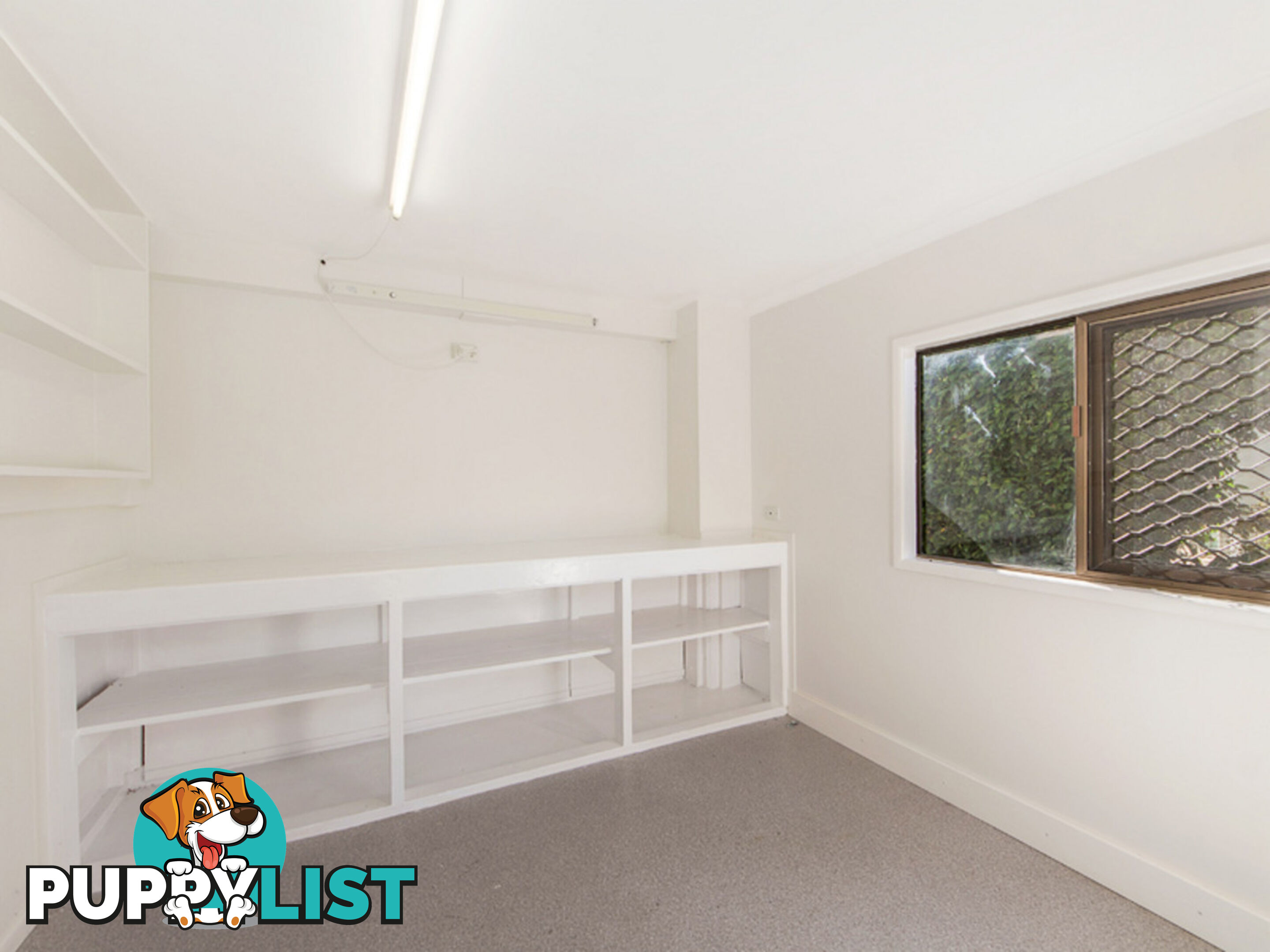 16 Nolan Street Raceview QLD 4305
