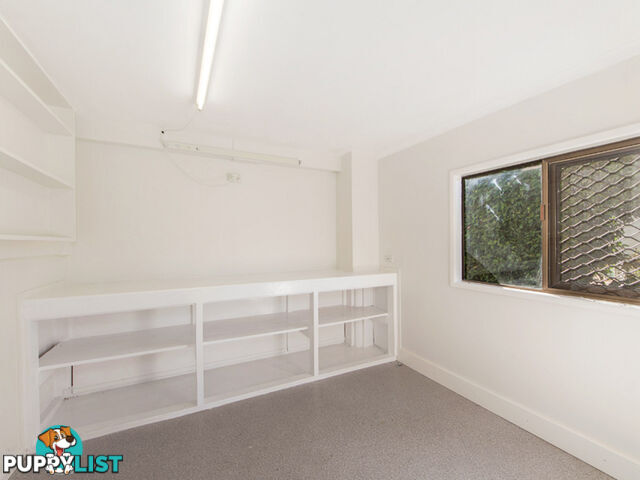 16 Nolan Street Raceview QLD 4305