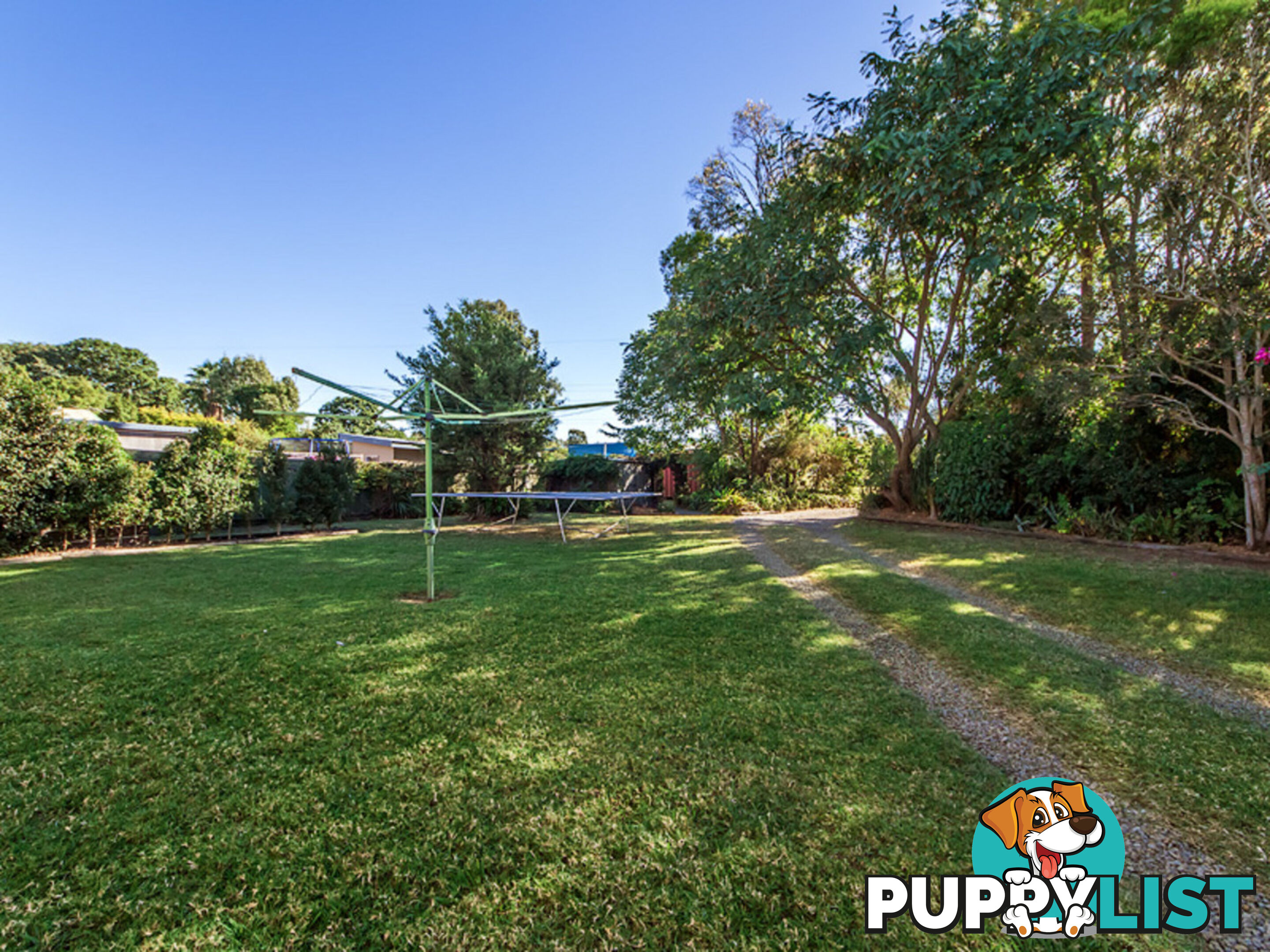 16 Nolan Street Raceview QLD 4305