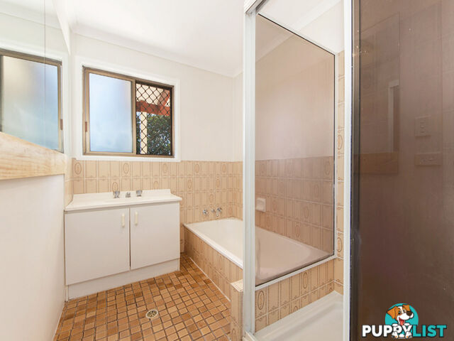 16 Nolan Street Raceview QLD 4305