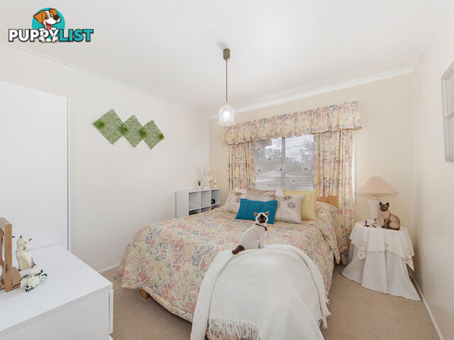 47 Queen Street Blackstone QLD 4304