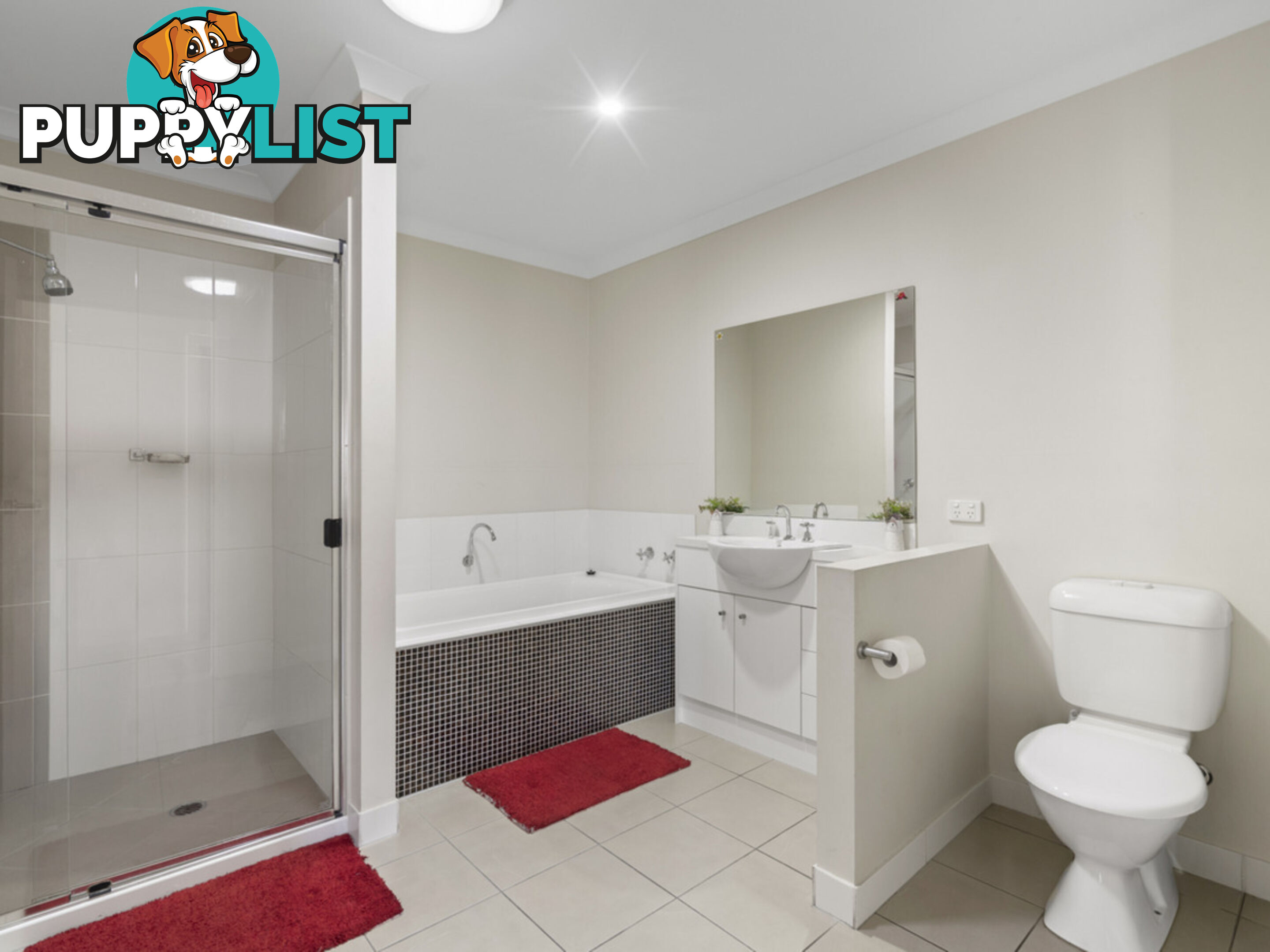 54 Ballow Crescent Redbank Plains QLD 4301
