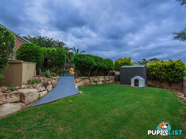 11 Cassinia Place Flinders View QLD 4305