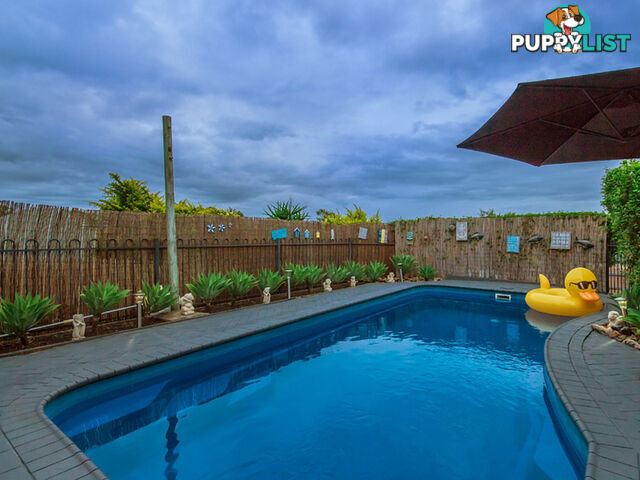 11 Cassinia Place Flinders View QLD 4305