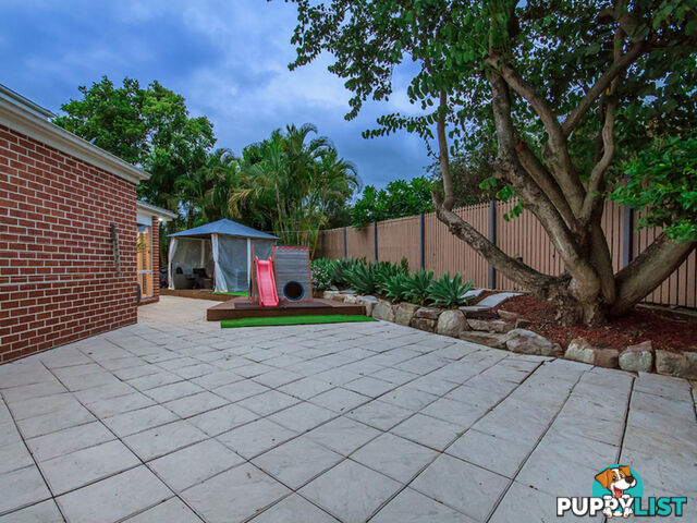 11 Cassinia Place Flinders View QLD 4305