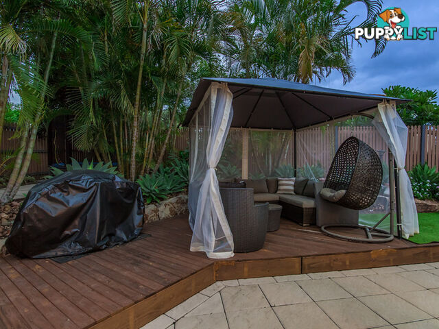 11 Cassinia Place Flinders View QLD 4305