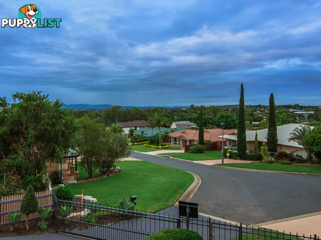 11 Cassinia Place Flinders View QLD 4305