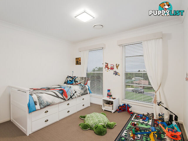 11 Cassinia Place Flinders View QLD 4305