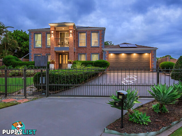 11 Cassinia Place Flinders View QLD 4305