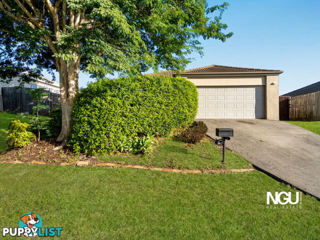7 Brittany Crescent Raceview QLD 4305