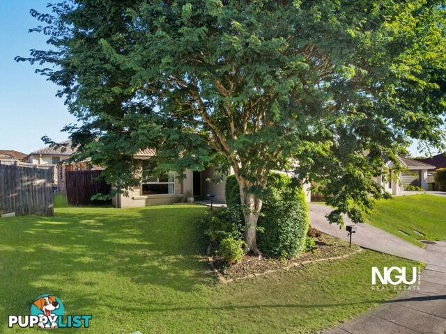 7 Brittany Crescent Raceview QLD 4305