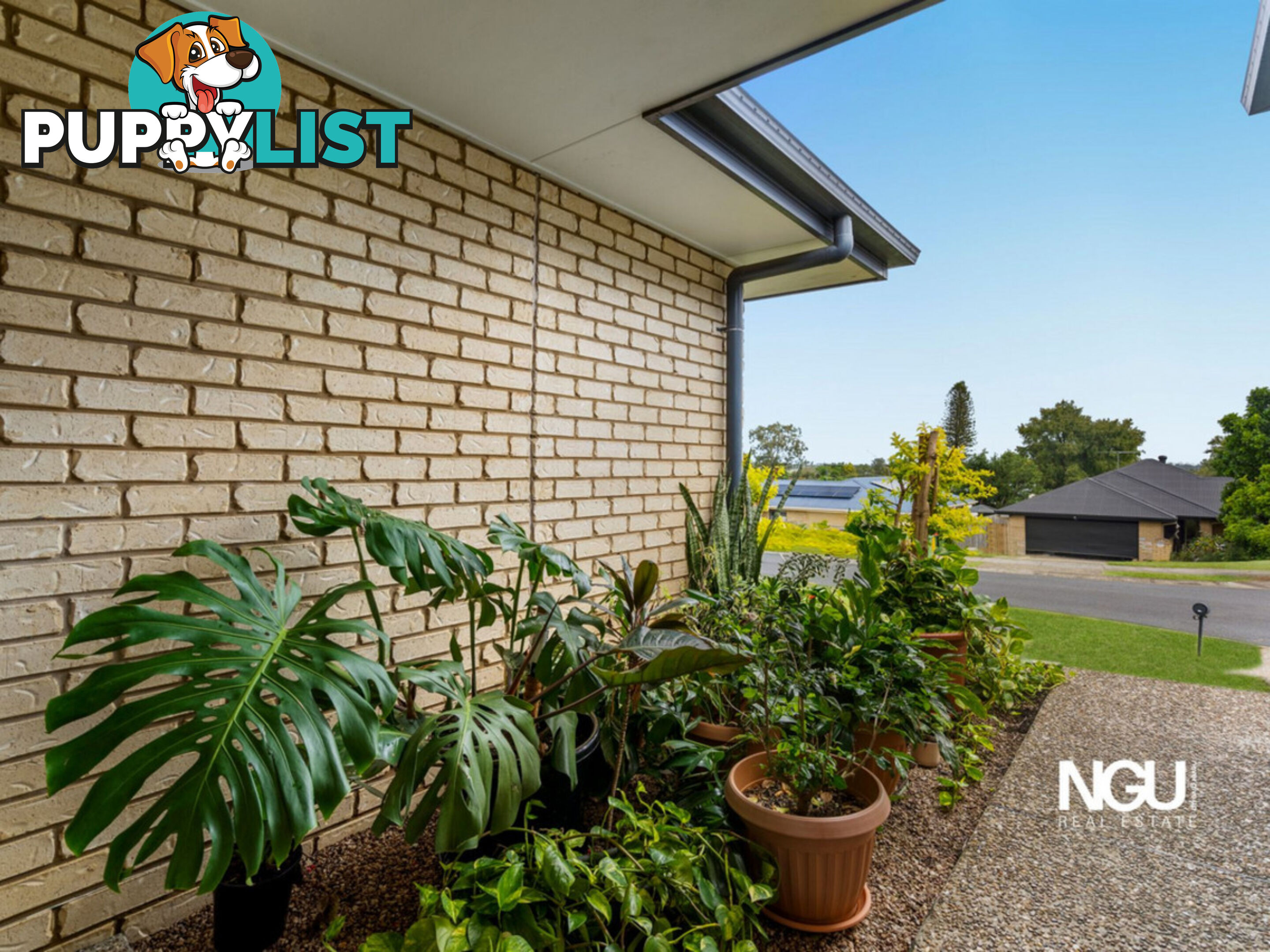 19 Walter Court Leichhardt QLD 4305