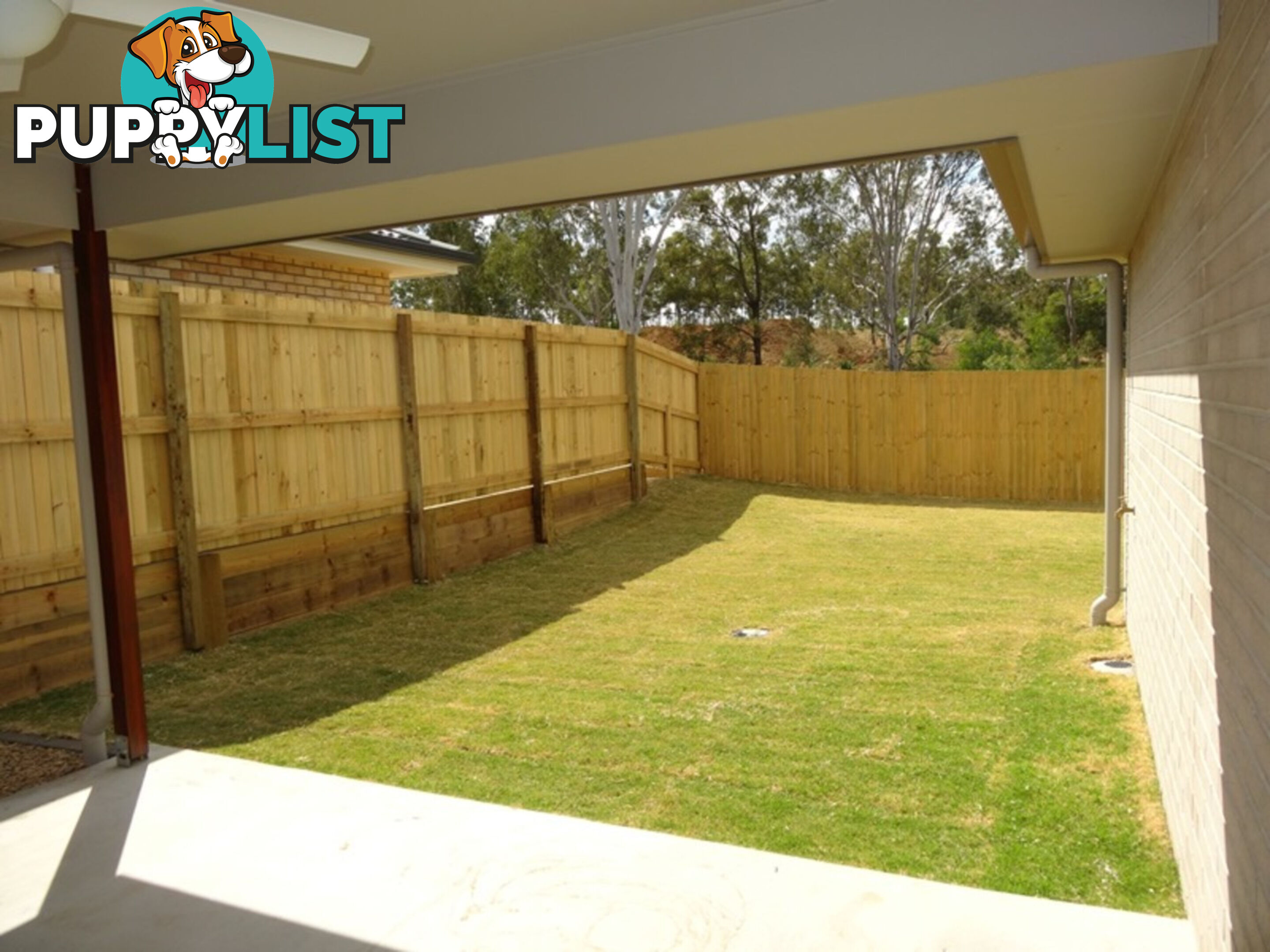 6 Mulgara Street DEEBING HEIGHTS QLD 4306