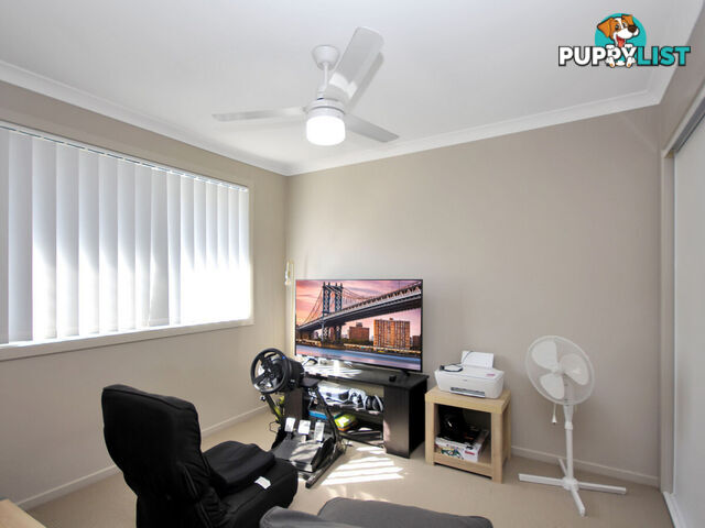 3 4 Lamington Drive Redbank Plains QLD 4301