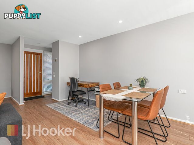 10 Waterhouse Avenue SINGLETON NSW 2330