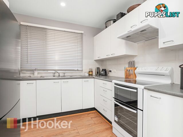 10 Waterhouse Avenue SINGLETON NSW 2330